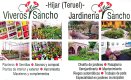 JARDINERIA SANCHO JARDINERIA SANCHO