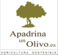 Apadrina un olivo