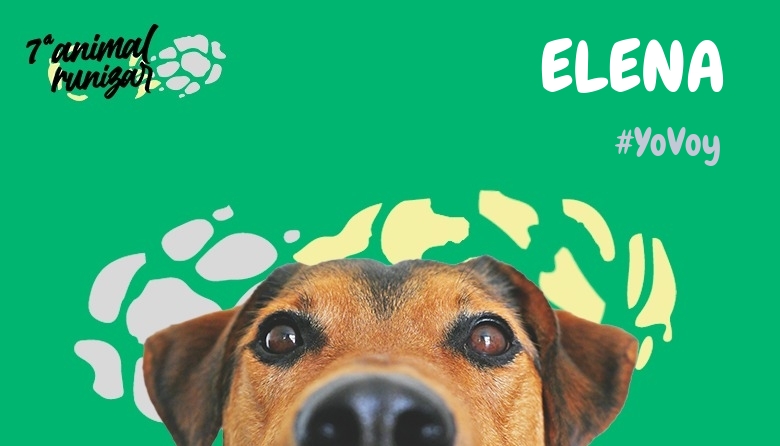 #EuVou - ELENA (ANIMALRUNIZAR 2024)