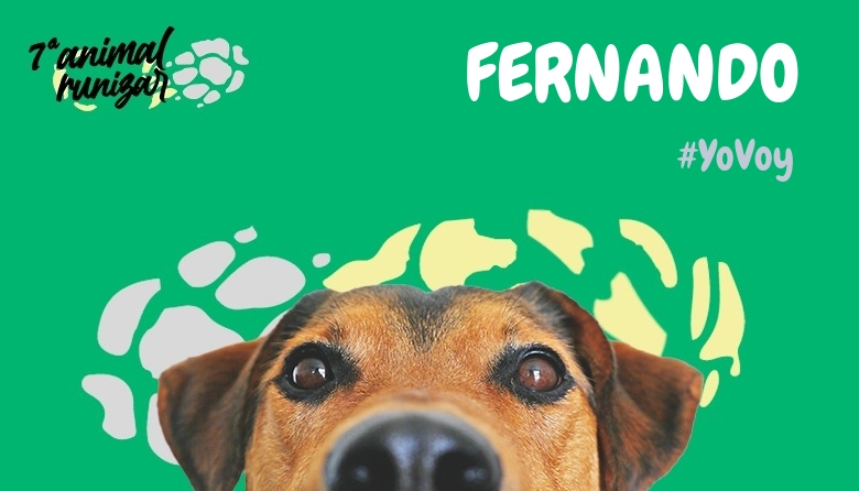 #EuVou - FERNANDO (ANIMALRUNIZAR 2024)