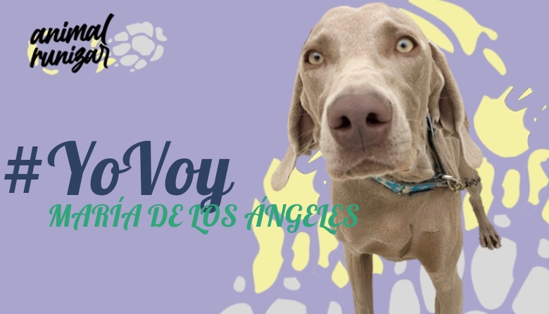 #YoVoy - MARÍA DE LOS ÁNGELES (ANIMALRUNIZAR 2022)