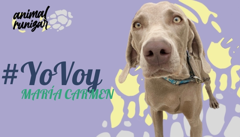 #YoVoy - MARÍA CARMEN (ANIMALRUNIZAR 2022)