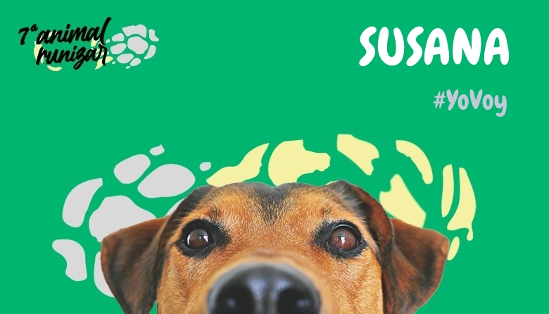 #EuVou - SUSANA (ANIMALRUNIZAR 2024)