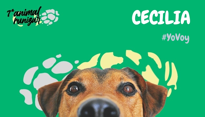 #JoHiVaig - CECILIA (ANIMALRUNIZAR 2024)