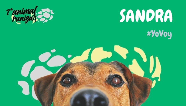 #Ni banoa - SANDRA (ANIMALRUNIZAR 2024)