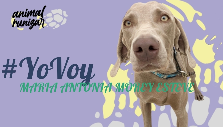 #YoVoy - MARIA ANTONIA MOREY ESTEVE (ANIMALRUNIZAR 2022)