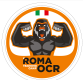 RomaOCR